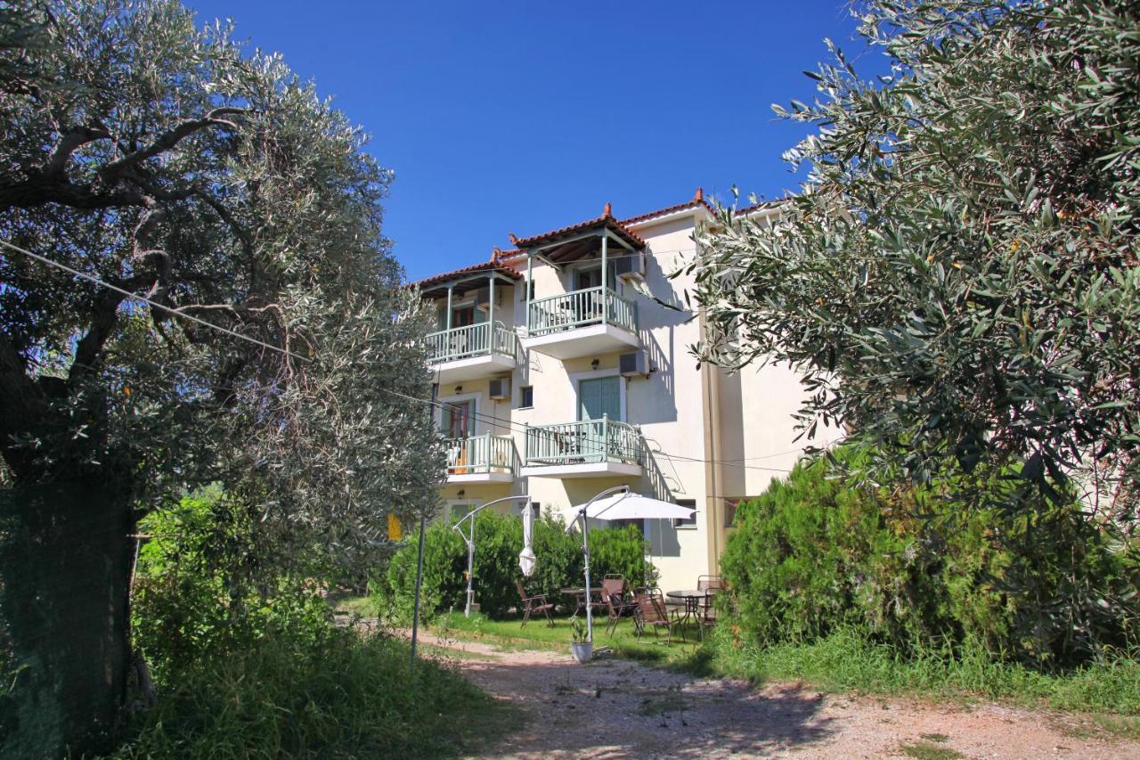 Hotel Pansion Prodromina Città di Skopelos Esterno foto